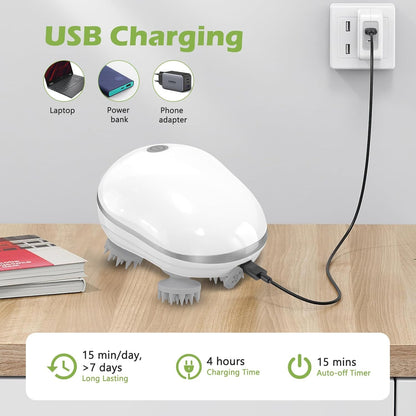 Electric Scalp Massager